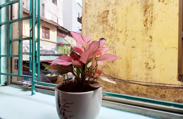 Hanoian Homestay