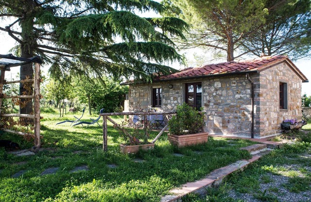 Happy holidays in Chianti, among olives and vineyards, From Florence