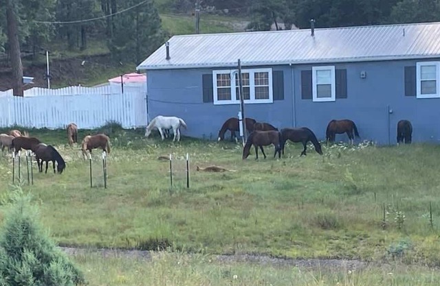 Happy Trails Retreat