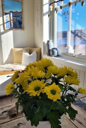 Haramsøy Holiday Apartment- Island Life North