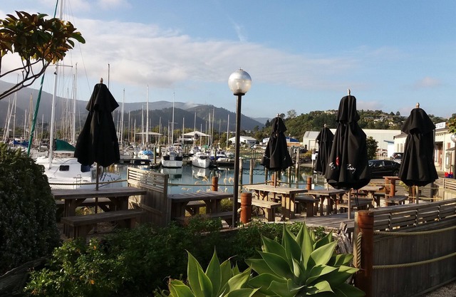 Harbourside Lodge