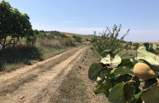 harika bir hafta sonu. güzel bir tatil