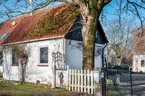 Harmonie Tiny House