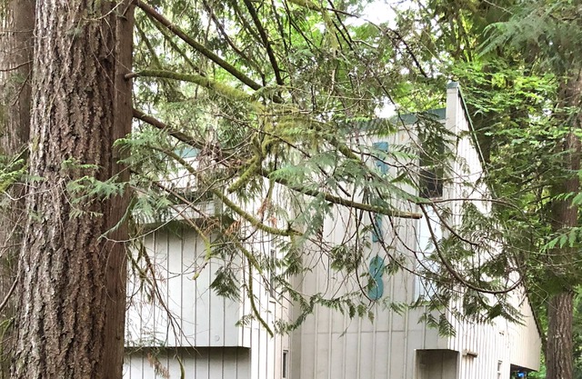 Harstine Island Getaway