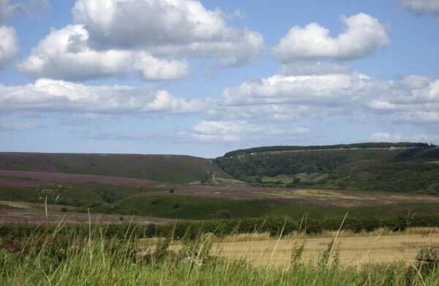 HARVEST COTTAGE, pet friendly, character holiday cottage in Levisham