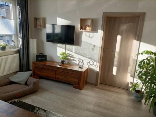 HARZ-PFOTE familien- und hundefreundliche Ferienwohnung