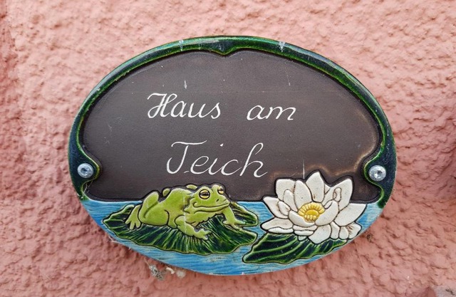 Haus am Teich - Teichblick