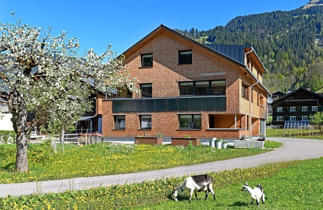 Haus Bianca - Apartment 2-8 pers.
