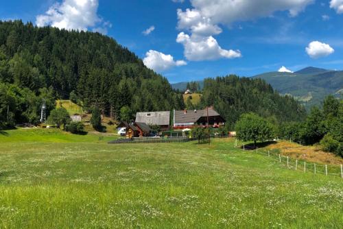 Haus Edlinger inclusive Murau Sommer Gäste Card