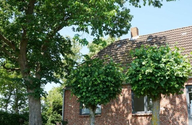 Haus Landblick, Deutschland