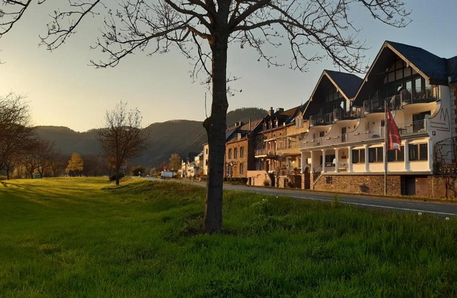 Haus Moselliebe B&B