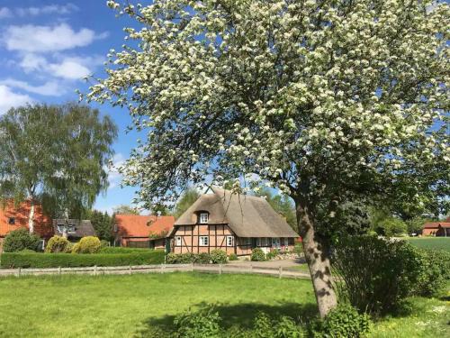 Haus Ruhe unter Reet