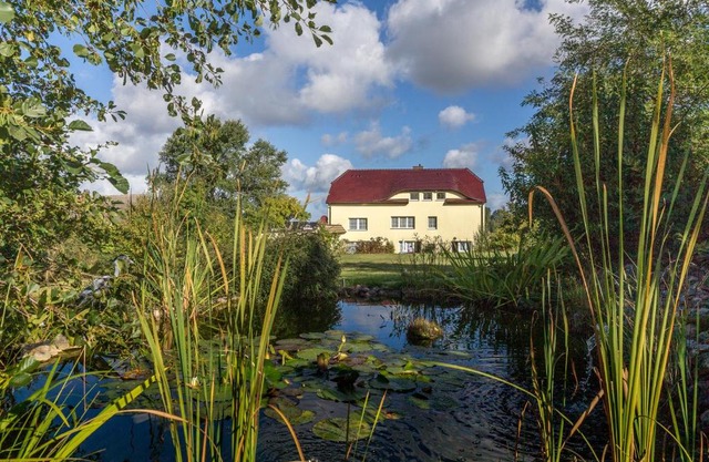 Haus Silbermöwe
