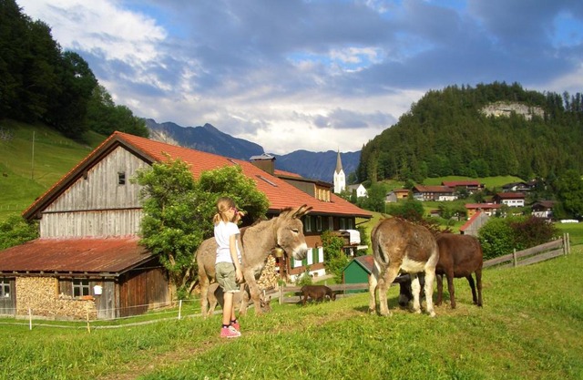 Haus Willi
