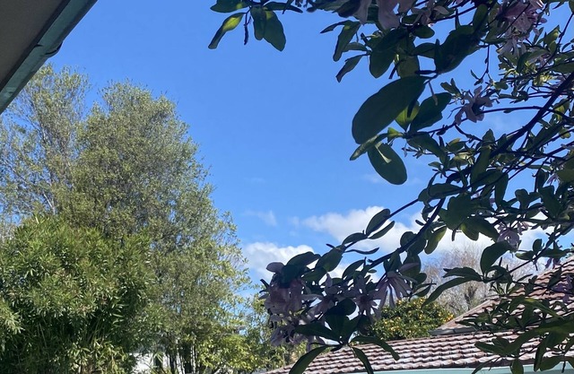 Havelock Hideaway - A relaxing holiday home with a pool!