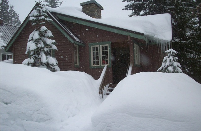 Heart of village! Knotty pine cabin. Perfect for 2 people!