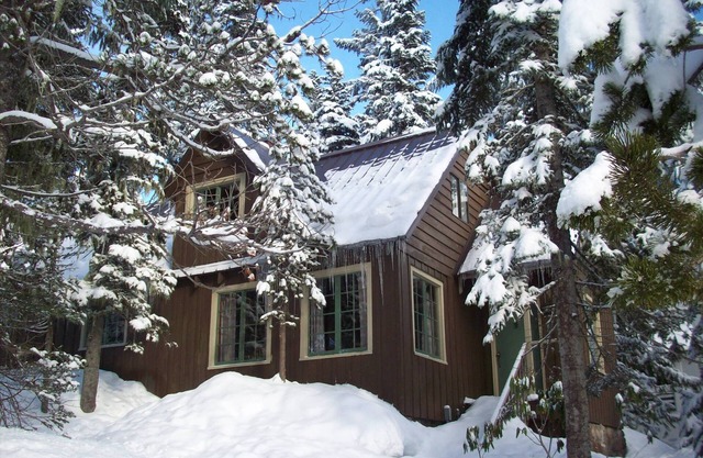 Heart of village! Knotty pine alpine cabin.