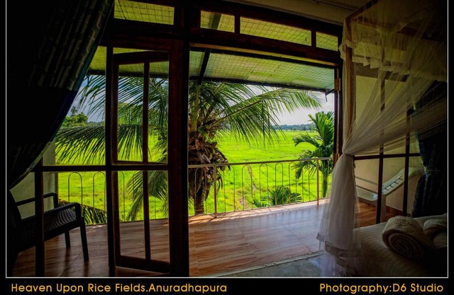 Heaven Upon Rice Fields