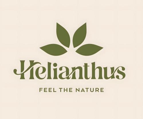 Helianthus