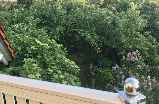 Helles Gemütliches Apartment mit Besonderem Flair