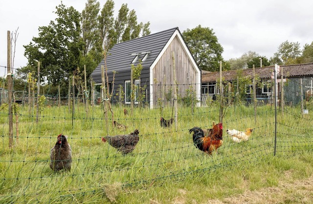 Hello Zeeland - Vakantiewoning Kalfhoeksepad 8