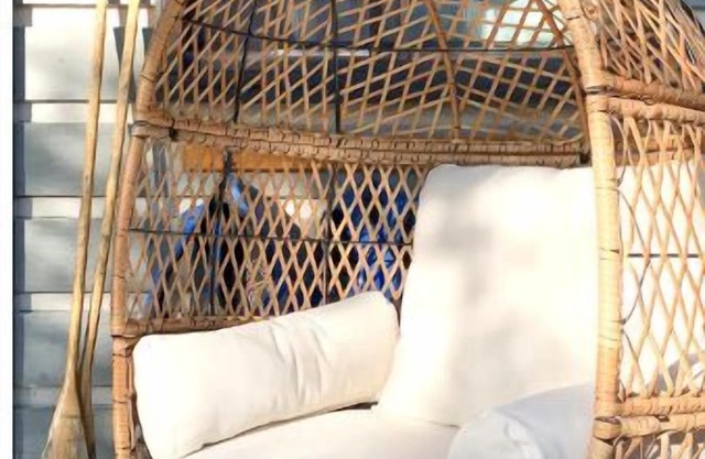 Hemlock Waterfront Hideaway|Pets,BBQ,Firepit,Dock