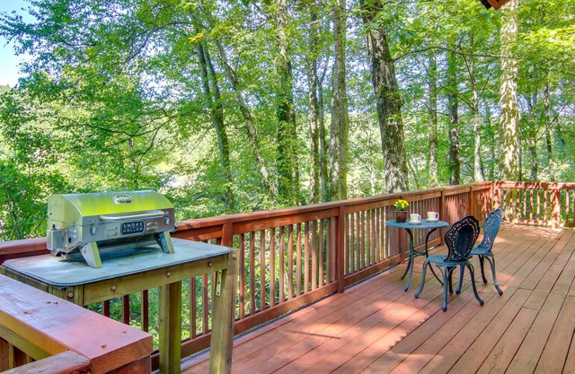 Hendersonville Creekside Cabin: Near DuPont Forest