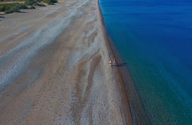 Hera Beach Villa with private pool