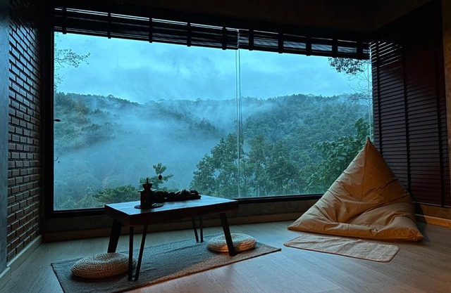 Hi Land Forest View