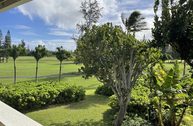 Hidden gem at North Shore Turtle Bay