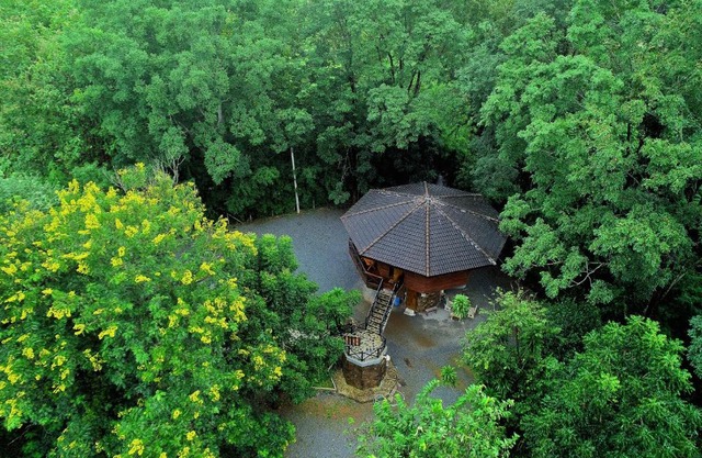 Hidden Treehouse in Khao Yai (8 PAX)
