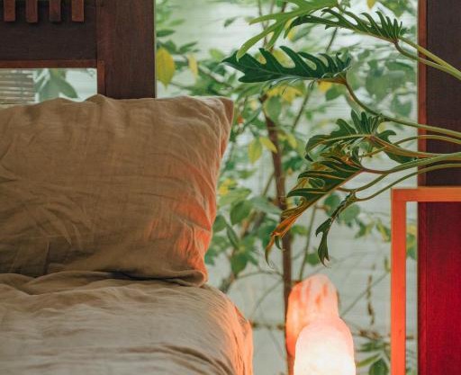 Hidden Urban Tree House