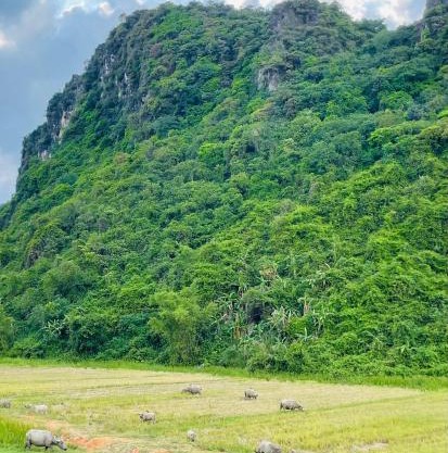 Hieu-Homestay