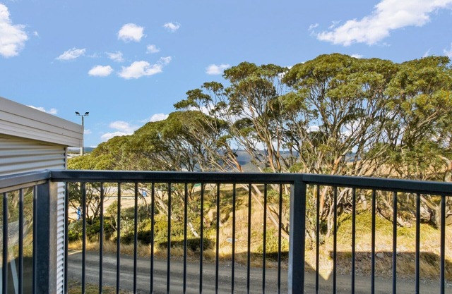 Higgi Drive 4 - Mt Hotham