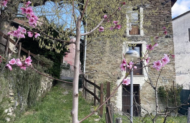 HIGH MONFERRATO STYLE HOUSE IN STONE AMONG THE VINEYARDS