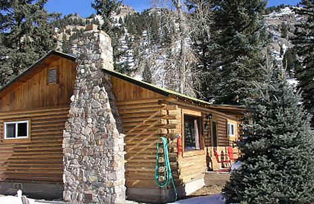High Mountain 3 BR log home w/fireplace