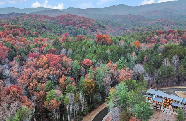 Higher Ground ~ Modern Cabin w/Heated Indoor Pool ~ Hot Tub ~ Fire Pit