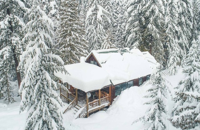 Hike & Bike out the Door and Paddle Nearby, Dog-Friendly, BBQ