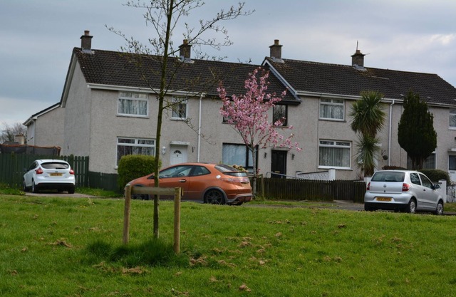 Hilden Haven - Lisburn