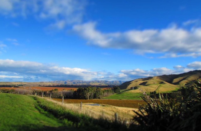 Hill Top Retreat