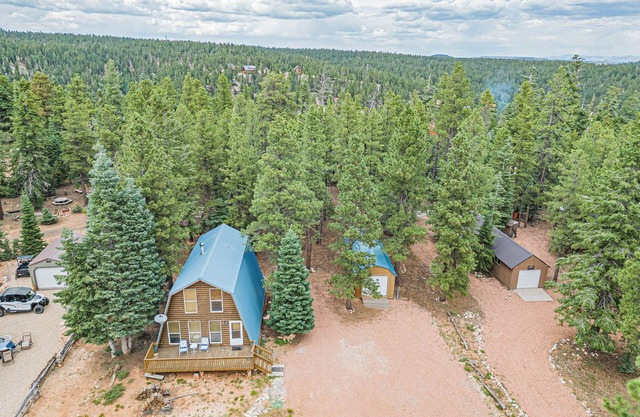 Hillside Hideaway 1 bdrm w/private loft, wood fireplace, & outdoor fire pit