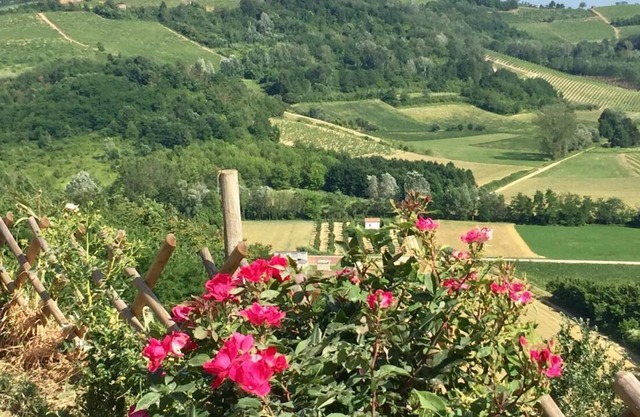 Hillside Villa with Fantastic Countryside Views Nizza Monferrato Region