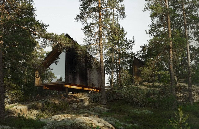 Hilltop Forest