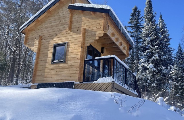 Hilltop treehouse located at the edge of Muskoka