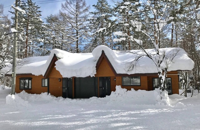 Hinoki Cabin Hakuba 1 2LDK 4person rental villa/Kitaazumi-gun Nagano