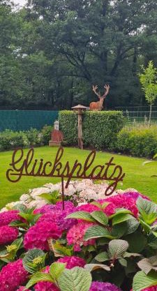 Hirschblick