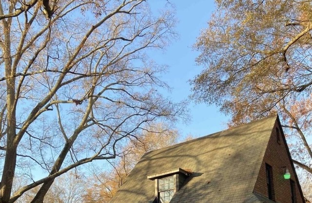Historic 20s Cottage sits under the breath taking oaks.