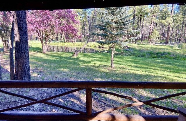 Historic, Cozy Cabin with pond and 3.4 acres in the heart of Pinetop!
