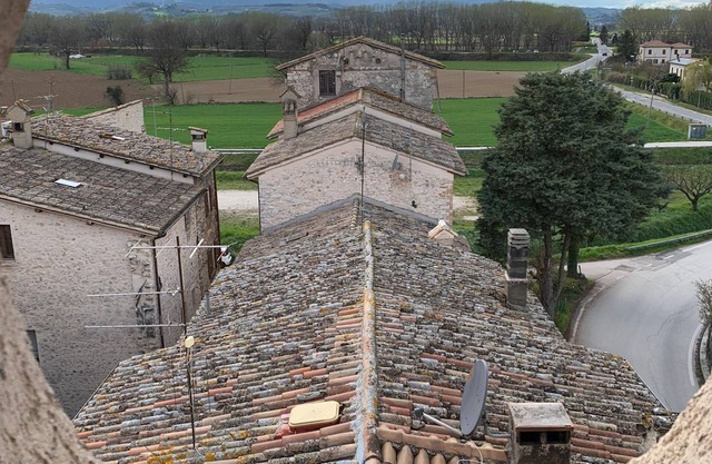 Historic house Torre degli Arduini