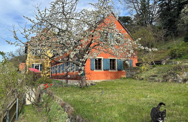 Historic Vineyard House near the Elbe River